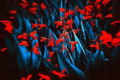 《黑暗之魂2》《装甲核心：审判日》旧主机在线服务器宣布关闭